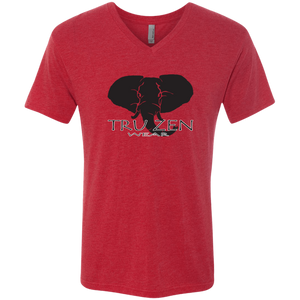 Tru Zen / Tru Life ~ Next Level Men's Triblend V-Neck T-Shirt - Tru Zen Wear
