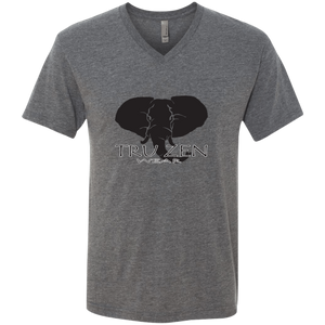 Tru Zen / Tru Life ~ Next Level Men's Triblend V-Neck T-Shirt - Tru Zen Wear