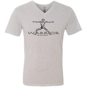 Tru Warrior ~ Men's Triblend V-Neck T-Shirt - Tru Zen Wear